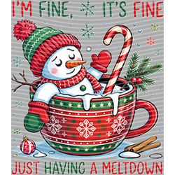 Christmas-ADJ 12773